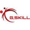 G Skill Logo